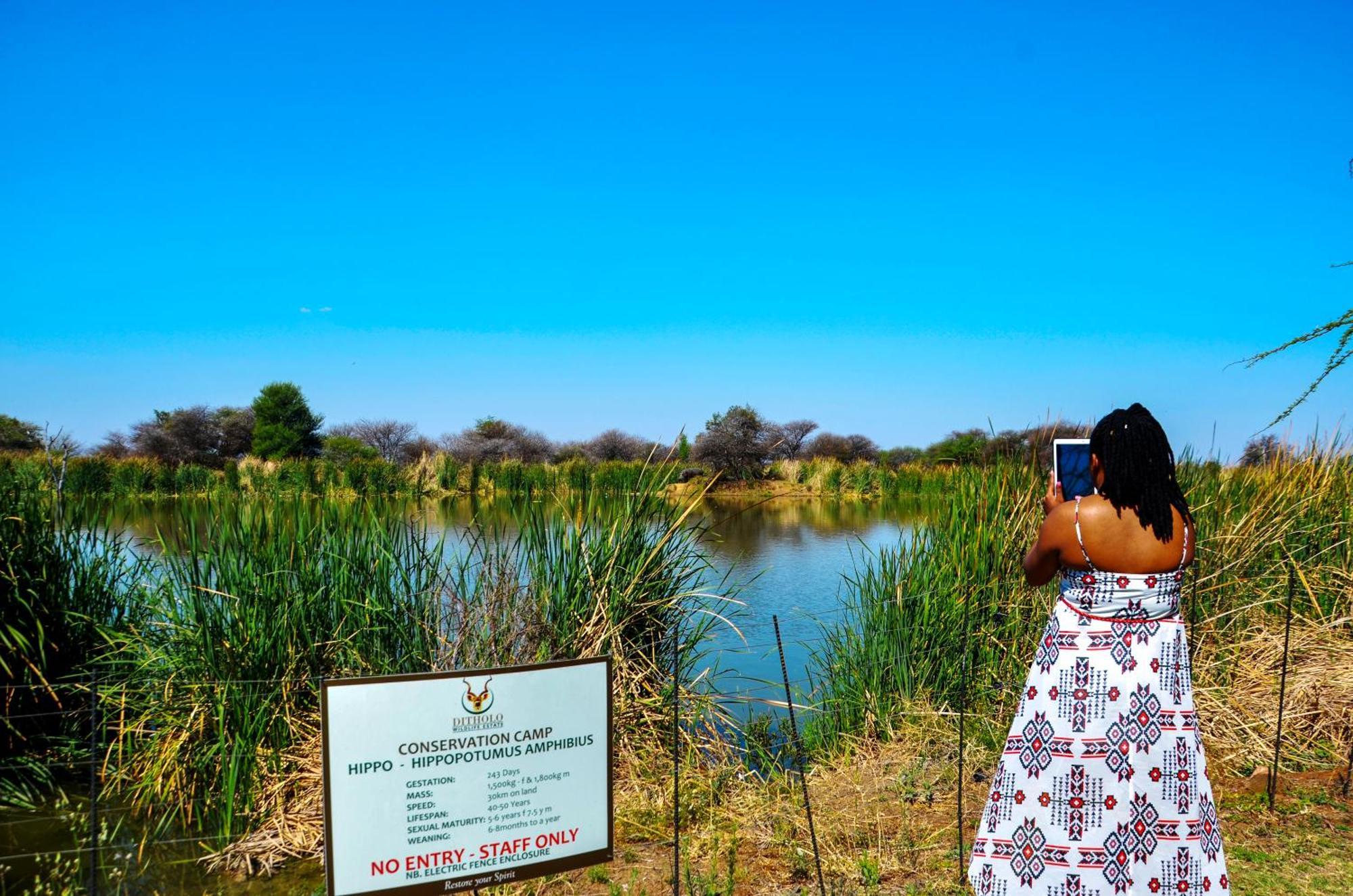Ditholo Game Lodge Bela Bela Eksteriør billede