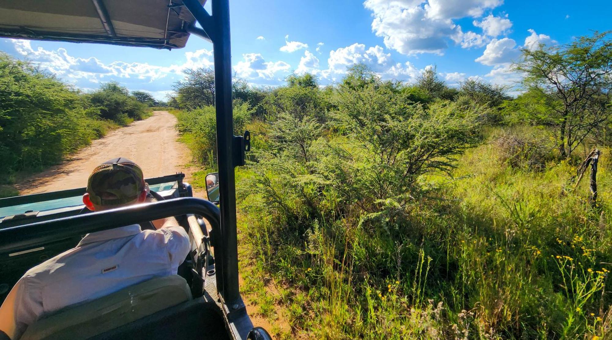 Ditholo Game Lodge Bela Bela Eksteriør billede