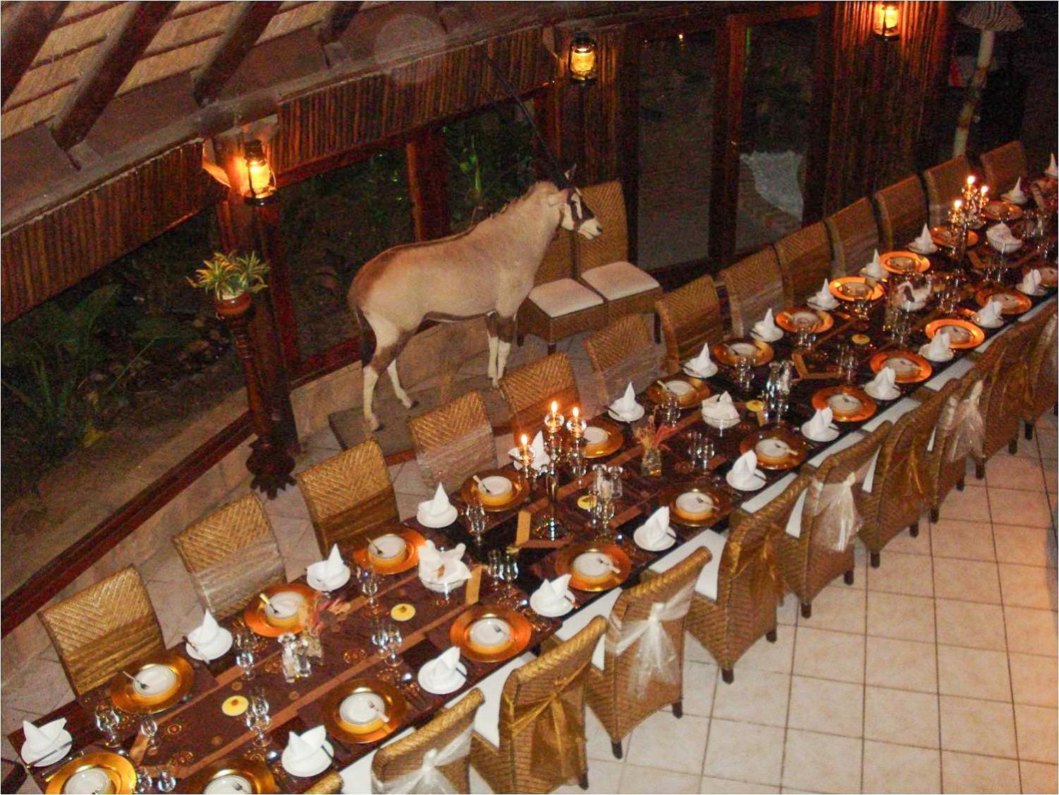 Ditholo Game Lodge Bela Bela Eksteriør billede